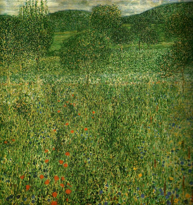 blommande falt, Gustav Klimt